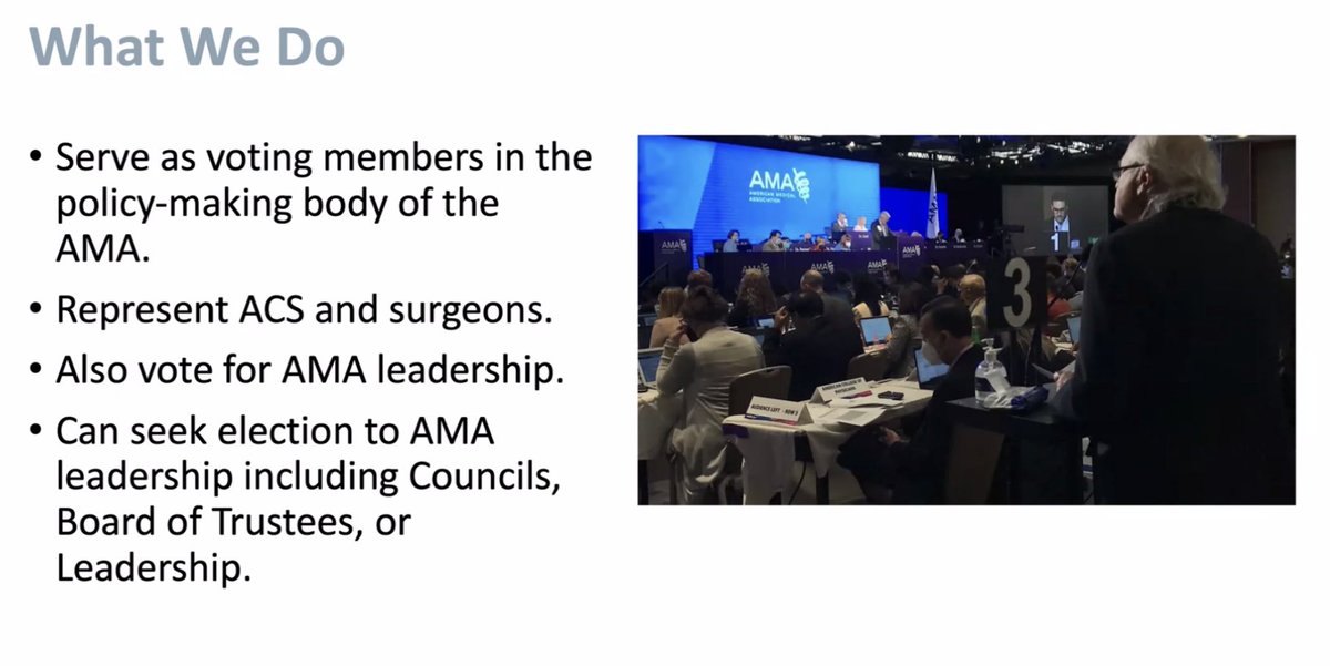 The RAS Advocacy and Issues Liaison Feature starts now! @mviseniomd is the @AmerMedicalAssn liaison chatting about how to bring the house of surgery to a wider medical audience!