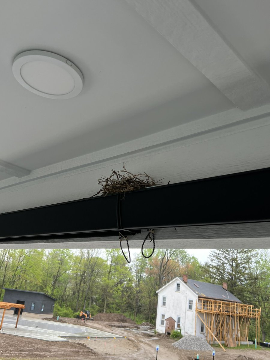 Jack Harvey tweet media