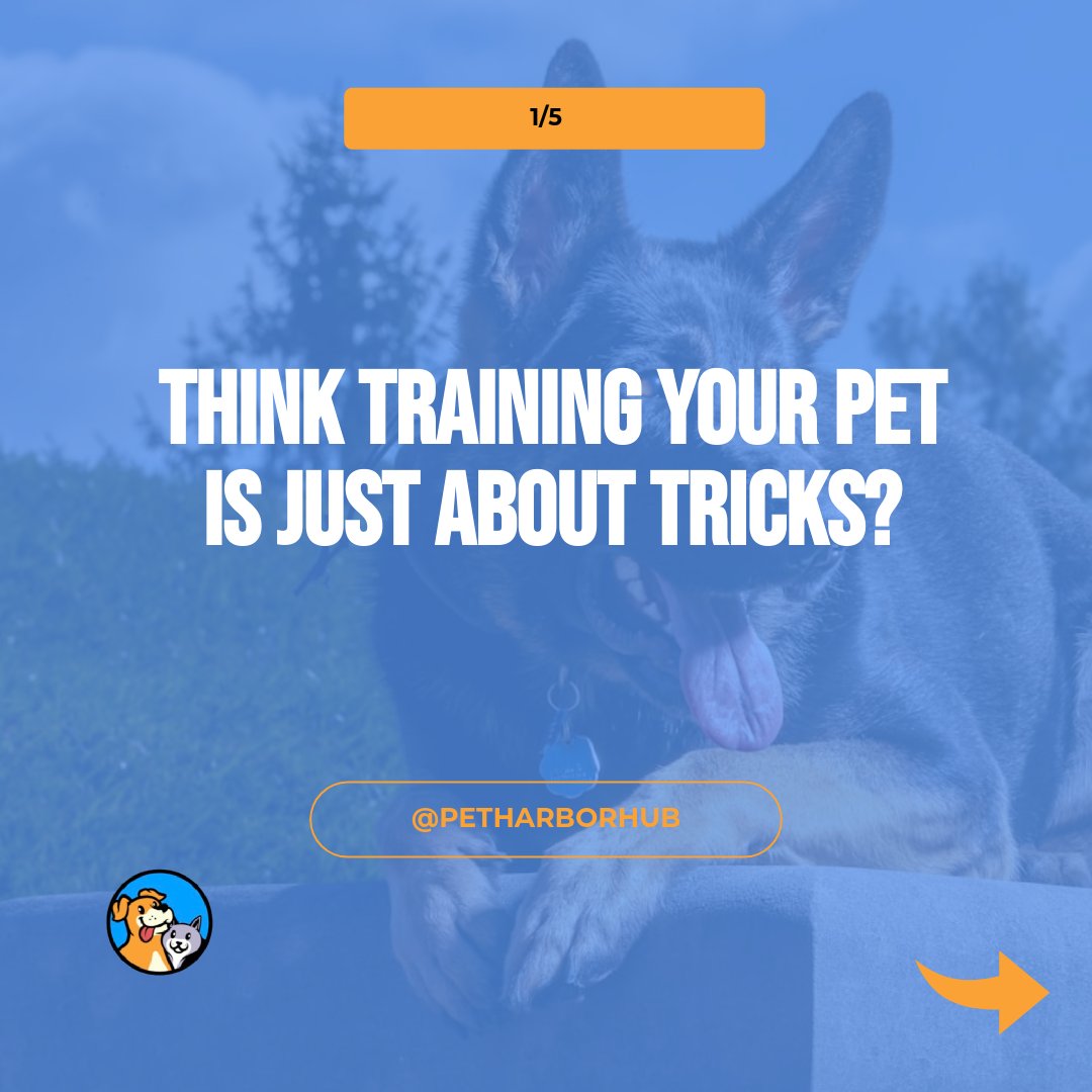 Want a happy pet and a peaceful home? 🏡🐾 Dive deeper into pet behavior and training on our blog. 📚 Your furry friend will thank you! 🐶🐱 Share your training triumphs below! 👇 #PetTraining #HappyPets #PetHarborHub