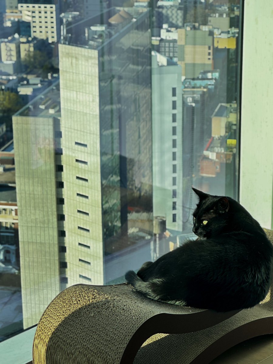 Shirley_chenn's tweet image. Tired but acceptable