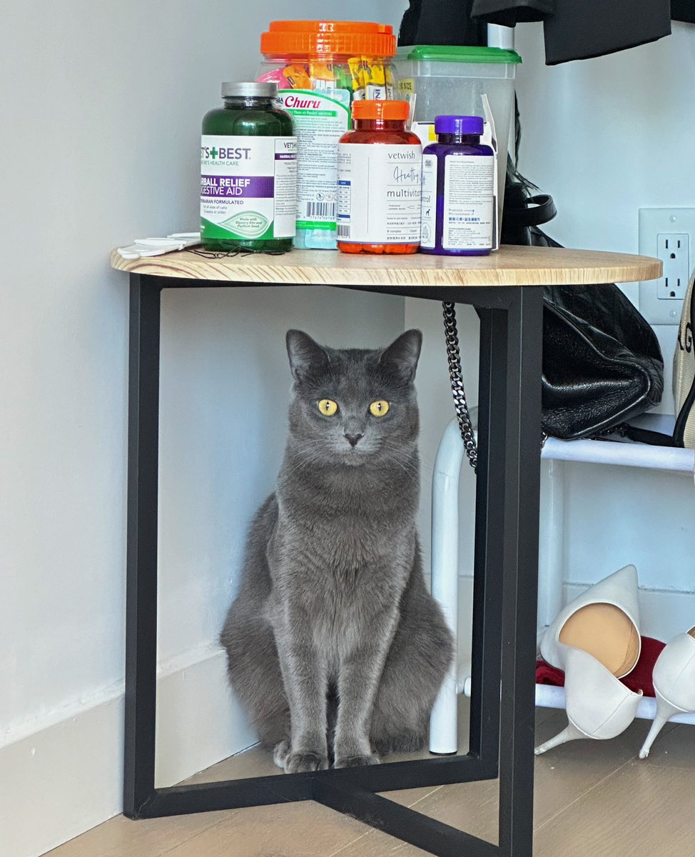 Shirley_chenn's tweet image. Tired but acceptable