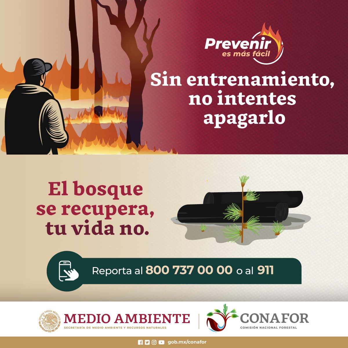 🚫No intentes apagar un #IncendioForestal 🔥🌳 si no eres combatiente, tu familia te espera en casa. 👨‍👩‍👧🏡 Mejor reporta 📲si ves un incendio, es seguro y ayuda a que las brigadas llegan a tiempo ⏰.