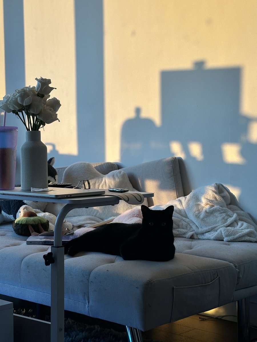 Shirley_chenn's tweet image. Sunsets are always the most beautiful time of the day💕