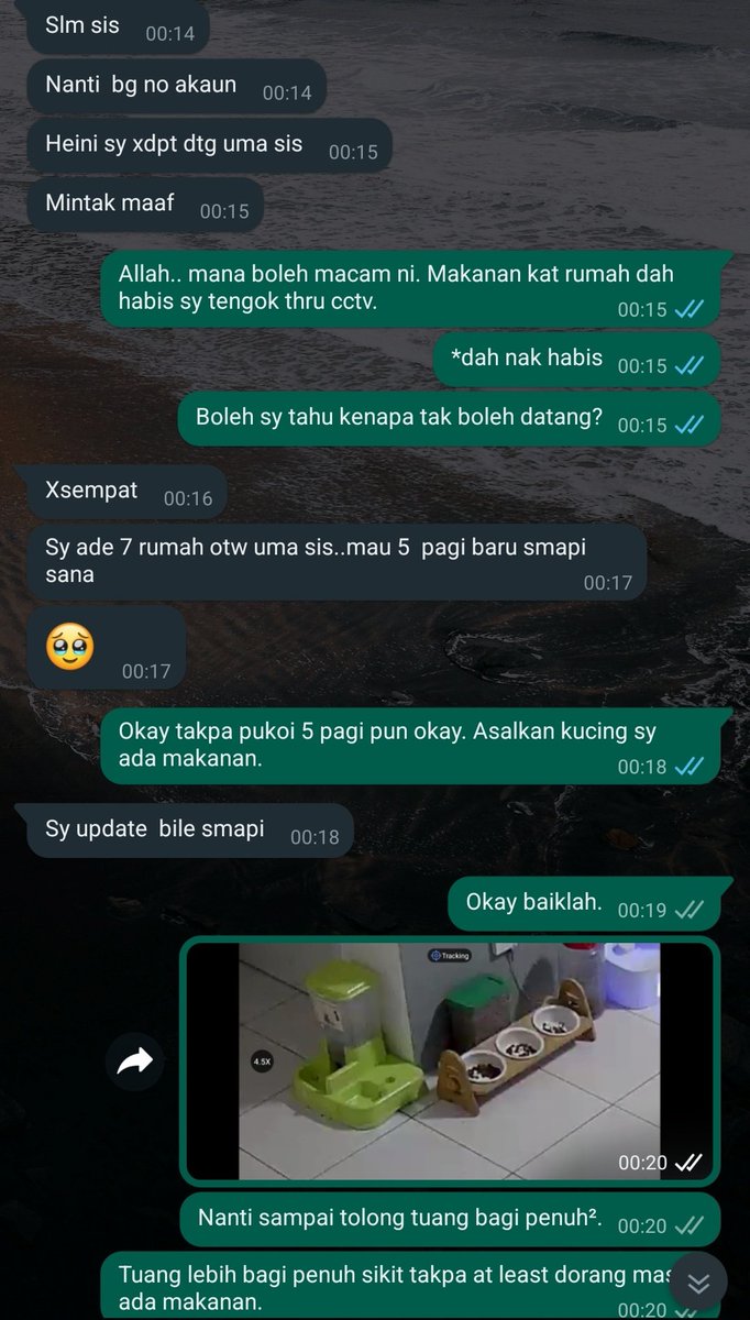 FiskaYenitaFK_'s tweet photo. Sembang apa la cat sitter ni. 20 buah rumah sehari. 

Rumah aku kena cancel last minit tak boleh datang waktu raya, aku dah mengagau menangis macam nak gila ingat anak bulus kat rumah.

Allah je tahu apa aku rasa. Aku cuma doa semoga someone boleh reveal hang ja satu hari nanti. https://t.co/nw2t3s3Wnp
