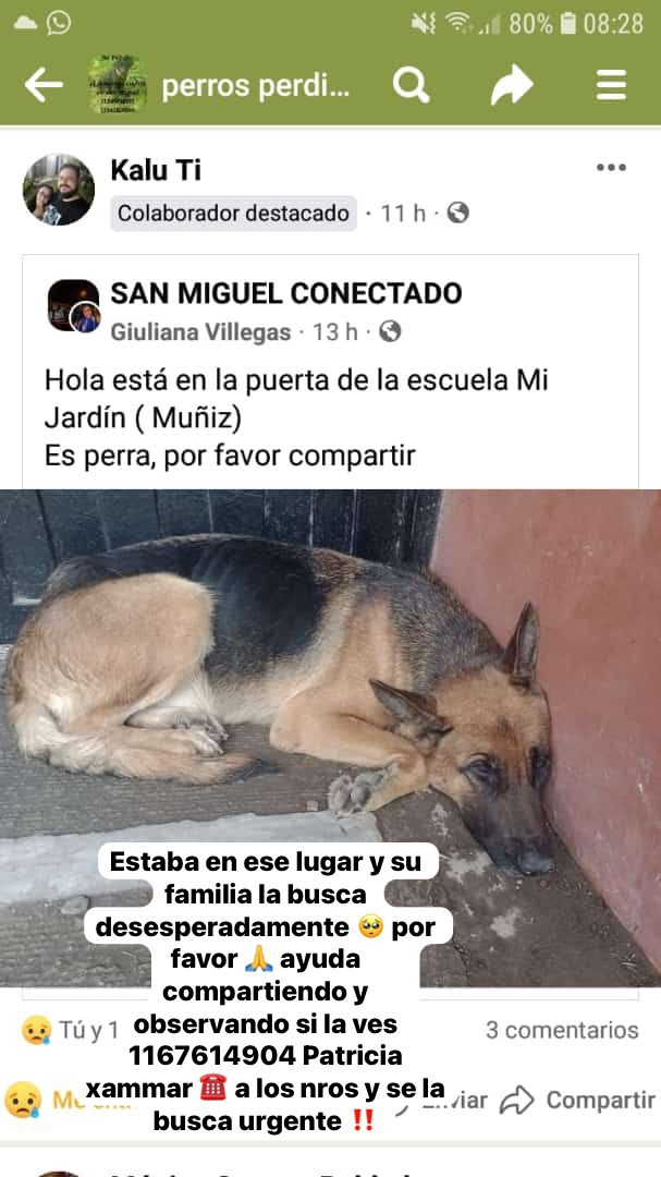 Urgente Parece que lo buscan!!!!