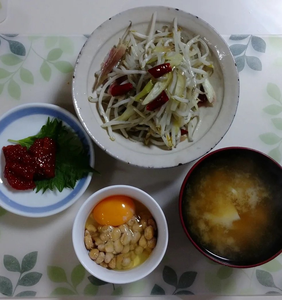 cherry_masaya's tweet photo. #goodmorning #mycooking #breakfast #nattotkg
#sujiko #fishroe #moyashi #bambooshoots
#misosoup #tastegood
#朝ごはん #納豆たまご #すじこ #筍のお味噌汁 #味噌汁 #もやしと茗荷炒め #もやし #茗荷 #美味しい
#好吃 https://t.co/5mYOqNpYFi