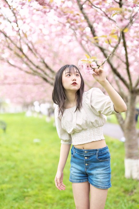 桃山こまちのTwitter画像4