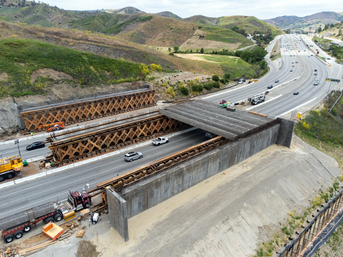 Acorn photographer @Michael_Coons got this stunning bird's eye view today of the @101wildcrossing bridge in @CityAgouraHills See full story in this week's Acorn. @bethpratt