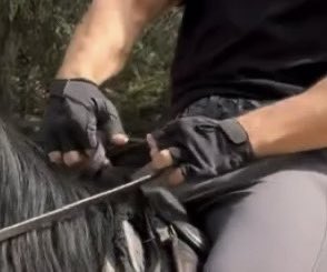 <a href="/coffeeluv26/">Coffeeluv26 🩺😷🇺🇸 Fan Account</a> 🔥PHAT TUESDAY🔥

💜♈️ViolaComeIlMare2 debuts and ⚔️🗡️Sandokan starts filming!🎞️

#CanYaman #Sandokan #ViolaComeIlMare2 
CanYamanEnglishTeam