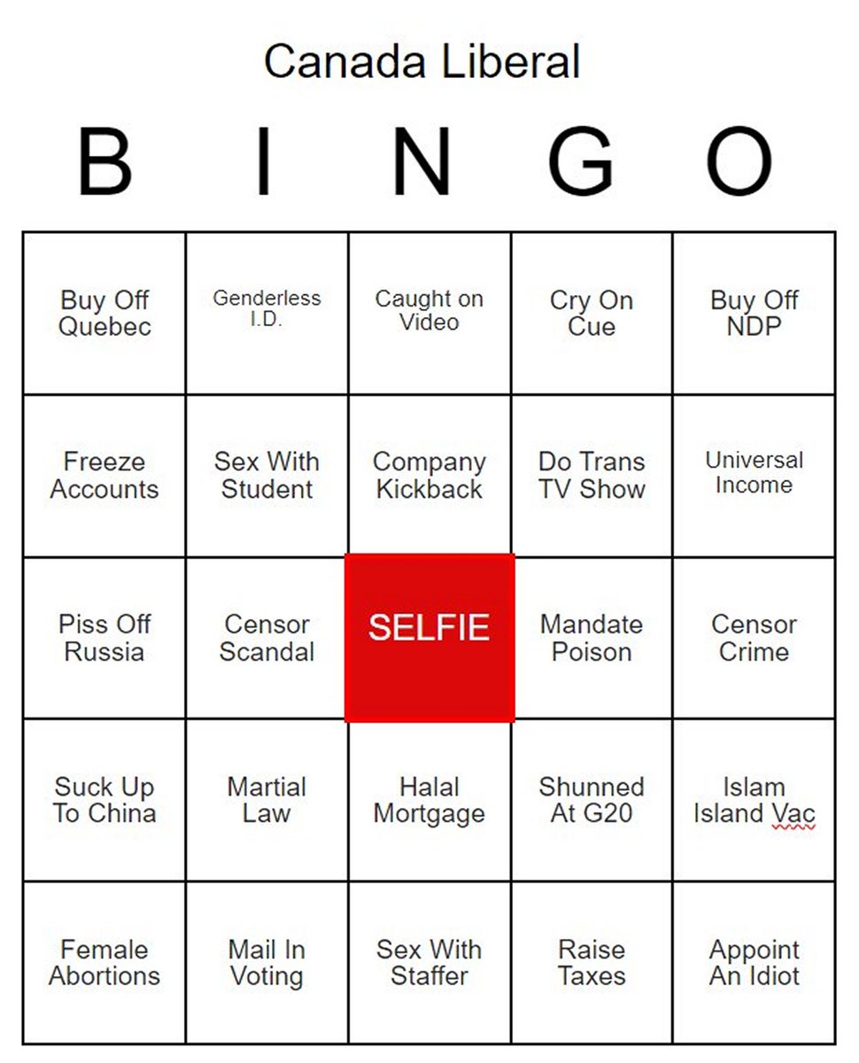 Liberal bingo card! 😜💯🤡💩👇