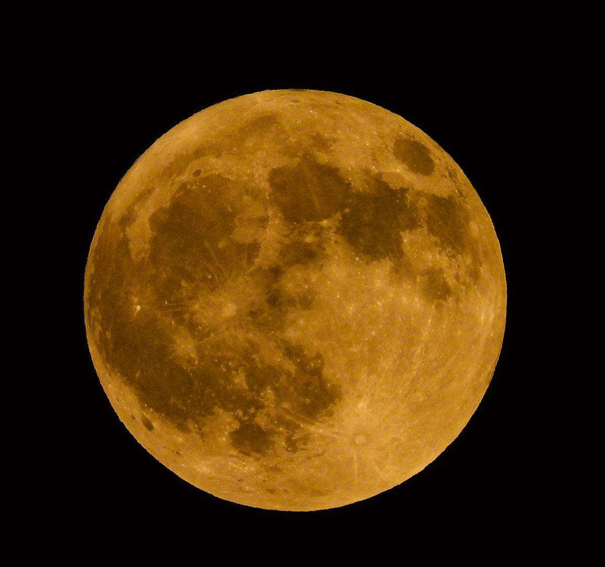 danzig_stephen's tweet photo. The Full Pink Moon will arrive on Tuesday, April 23......."The name pink moon comes from the April full moon's seasonal association, appearing in spring around the blossom time for flowers, according to the Farmers' Almanac." https://t.co/yu9N70fIDL