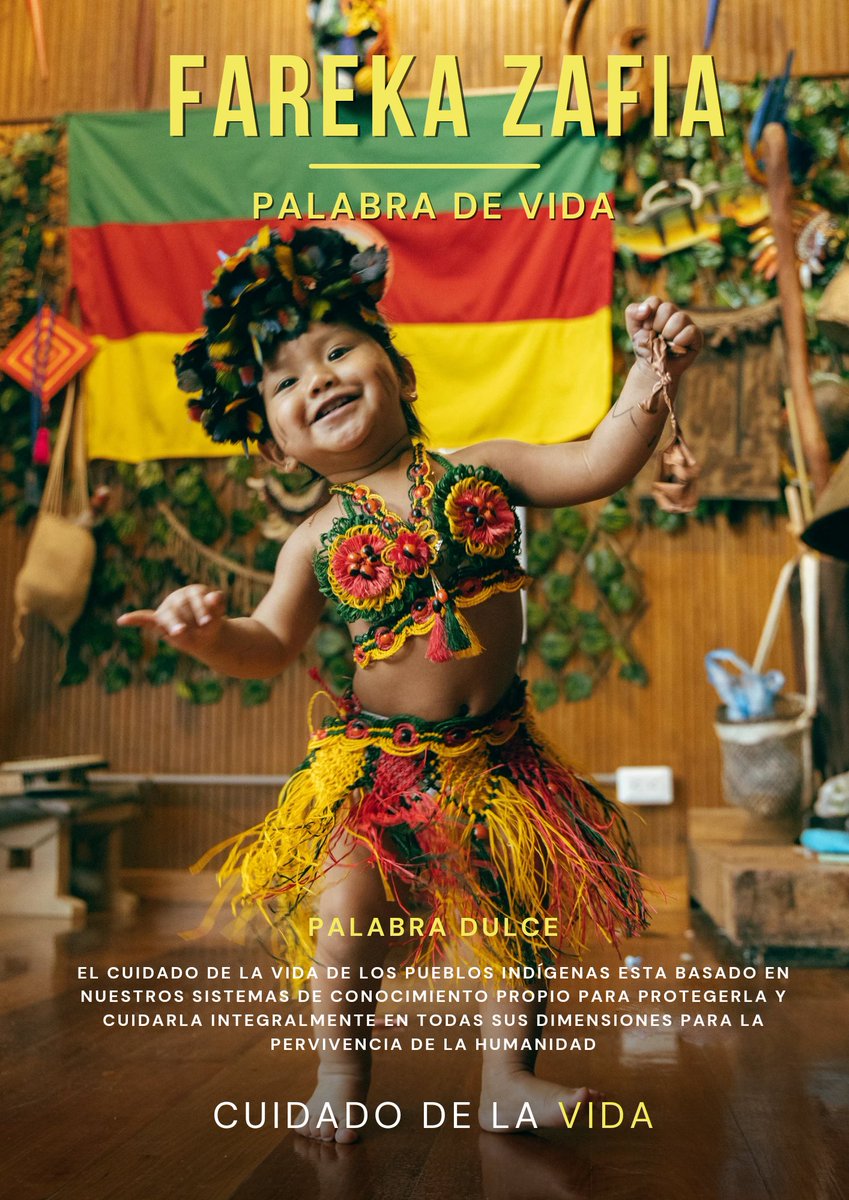 OrlandoRayo_'s tweet photo. #DiaDelIdioma 
#IndigenousPeoples
Celebramos el aniversario de la entrega del gran predio Putumayo, el resguardo más extenso de Colombia y el mundo, honramos la rica herencia cultural y ecológica de los pueblos indígenas. Este territorio es un santuario de biodiversidad y saberes ancestrales, clave para la conservación de la biodiversidad de nuestro planeta. Es vital proteger nuestros Sistemas de conocimiento, que ofrecen soluciones para el cuidado de la vida, garantizando su legado para las futuras generaciones. 

Caminamos la Palabra de Vida para volver al Origen. 

#Palabra #INDIGENOUS #Amazonia #Colombia