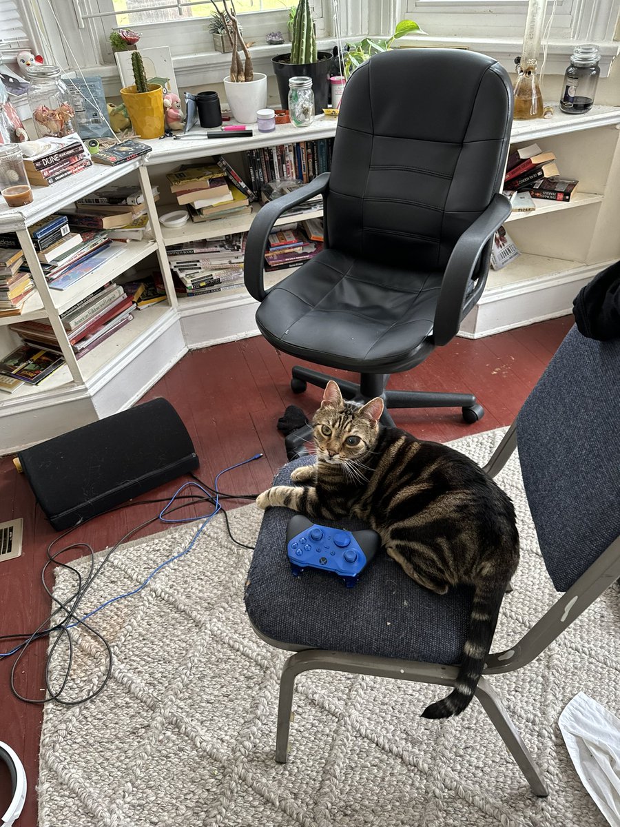 YungGusticles's tweet photo. @slime_golem She’s a gamer too https://t.co/wrTyPp9U9s