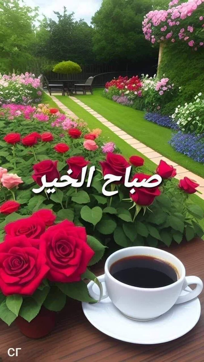 سيد البرنس (@ssaidabdalla) on Twitter photo 