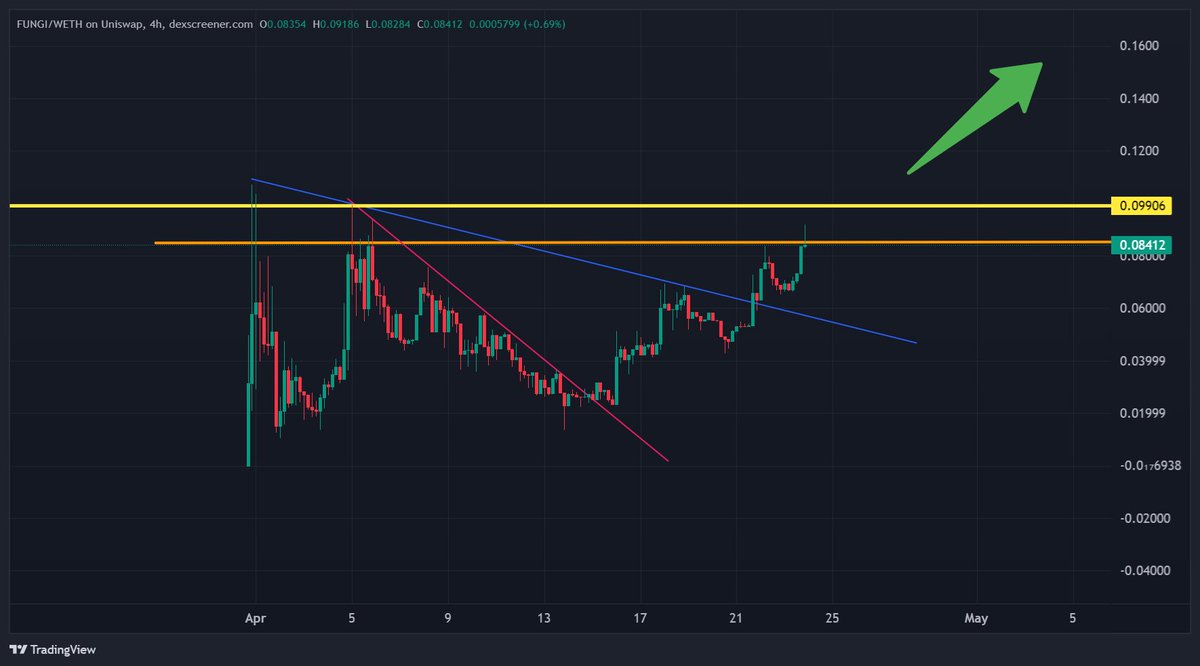 ERC-20i is going to boom, I feel it.
$fungi is the first and the OG mover. 
I believe the TEK and its #fungimentals.
HIGHER! 
<a href="/Fungi_ERC20i/">Fungi (🍄,🛡️)</a>