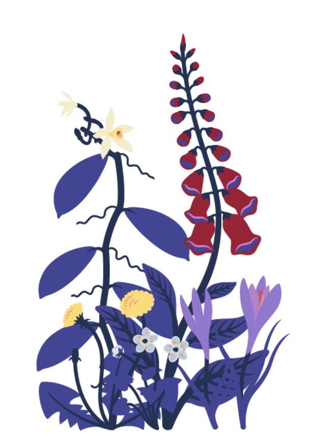 Anna Keune tweet media