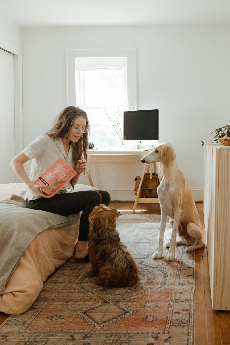 Positive Reinforcement: Use treats, praise, and toys for good behavior. Consistency in routines helps puppies learn quickly and confidently.
#puppytraining #dogtraining #puppy  #dogs   #dogtrainingtips #training #puppies #obediencetraining #puppytrainingtips #dogtrainingadvice