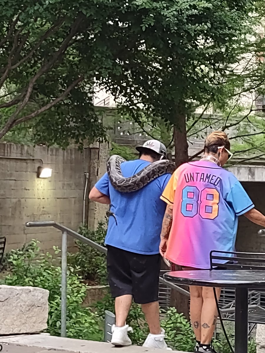 Dude brought his snake to the riverwalk. It's probably going to touch the water and turn into King Cobra.