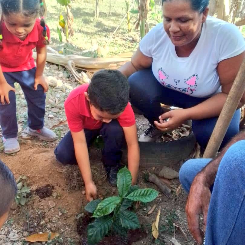 CDCEAndresMata's tweet photo. Nuestros estudiantes celebraron el Día Internacional de la Tierra, sembrando plantas frutales, medicinales y ornamentales.
#VenezuelaEsDDHH 
#SucreExcelenciaEducativa
@NicolasMaduro 
@MPPEDUCACION 
@_LaAvanzadora 
@CDCESucre
@KarenlyPSUV https://t.co/tHLCYiOY6V