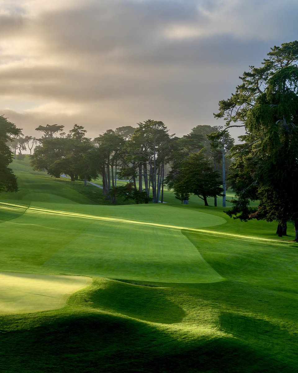 Some kind of special late afternoon light on The Lake Course at Olympic yesterday afternoon 🔥 @TheOlympicClub #golfcoursephotos