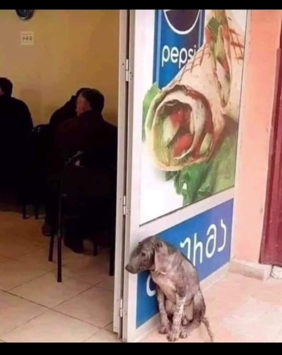 ¿Cuántas veces lo hemos visto?
Es una imagen q nos parte el alma porq ellos no entienden, solo sienten hambre y esperan por algo que caiga al suelo para recogerlo.
Por favor tiéndele tu mano con lo q puedas.
Ellos no tienen la culpa de estar en la calle