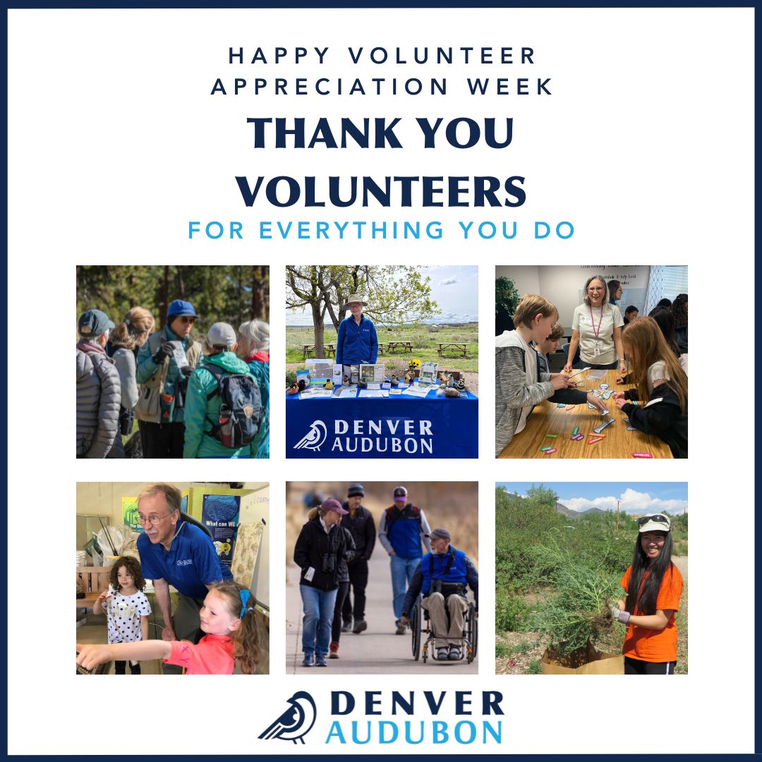 Denver Audubon tweet media
