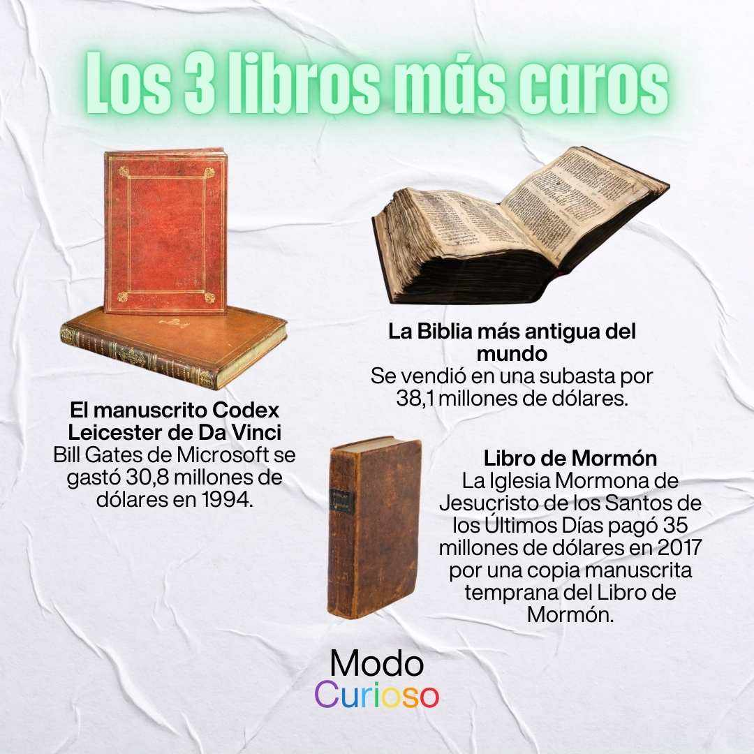 ModoCuriosoArg tweet picture