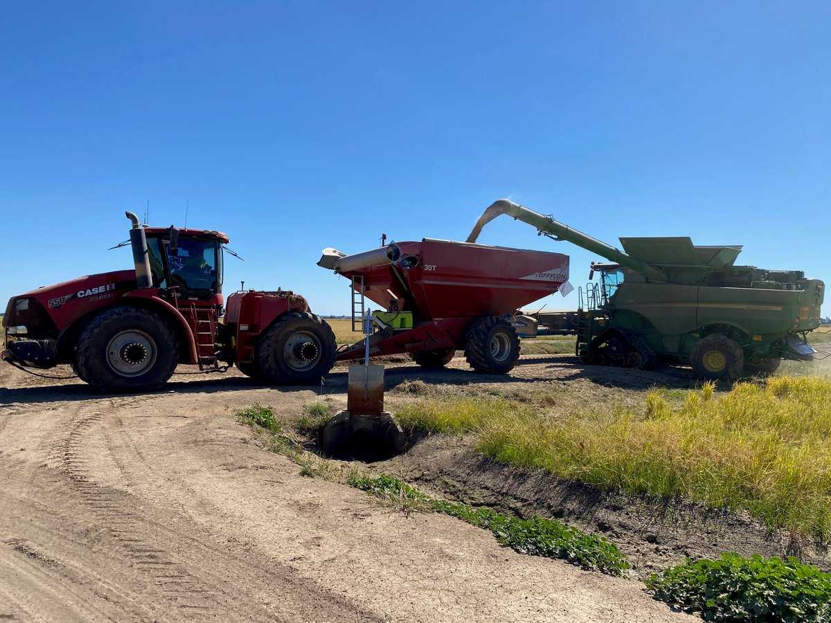 CeRRF_Griffith tweet media