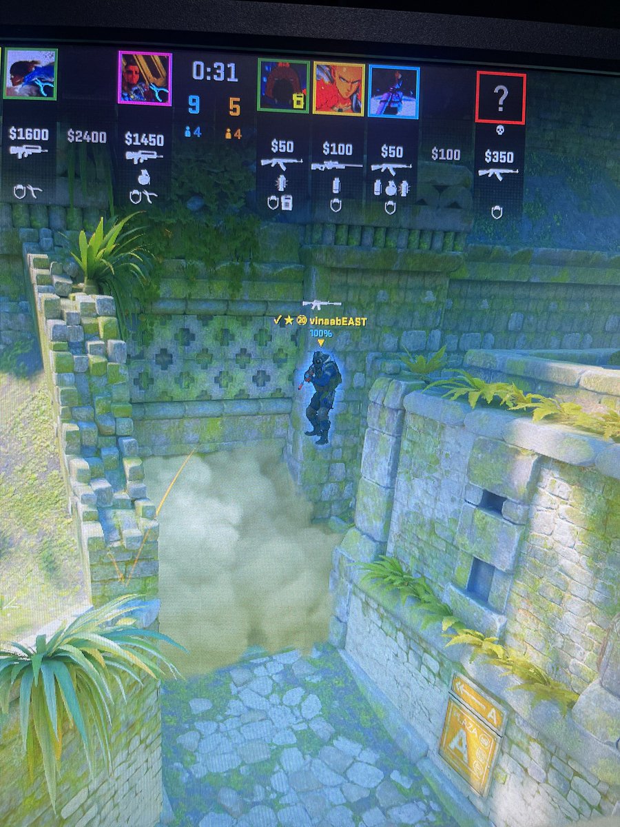 VKS CutzMeretz tweet media