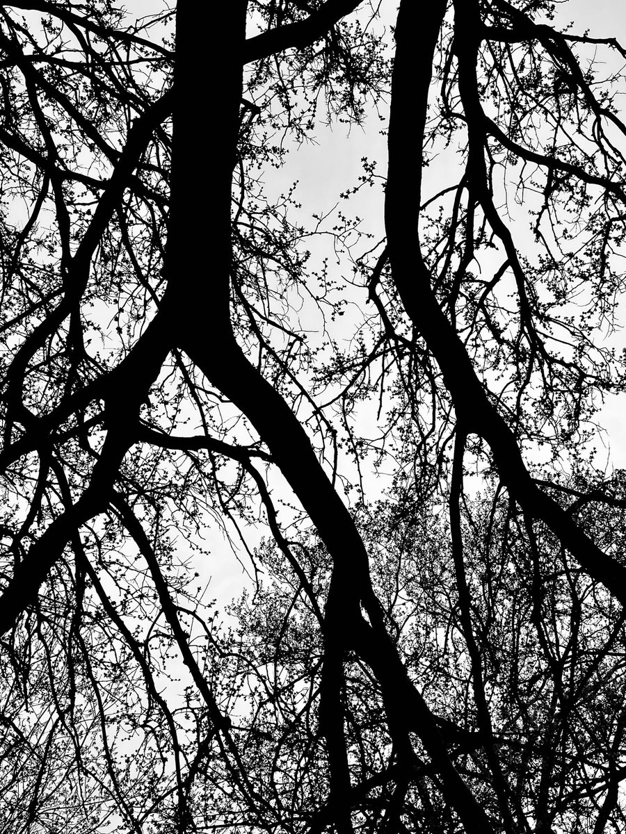 Jeremy Shatan tweet media