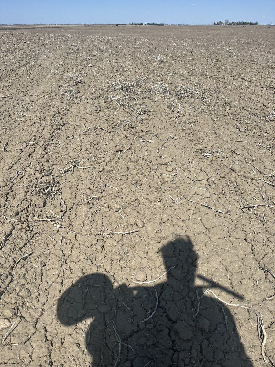 Adam Voss tweet media