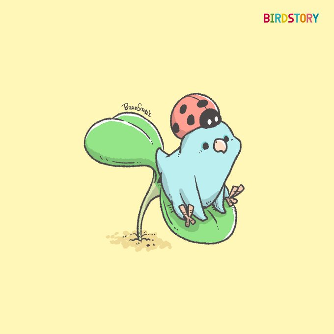 「BIRDSTORY」 illustration images(Latest))