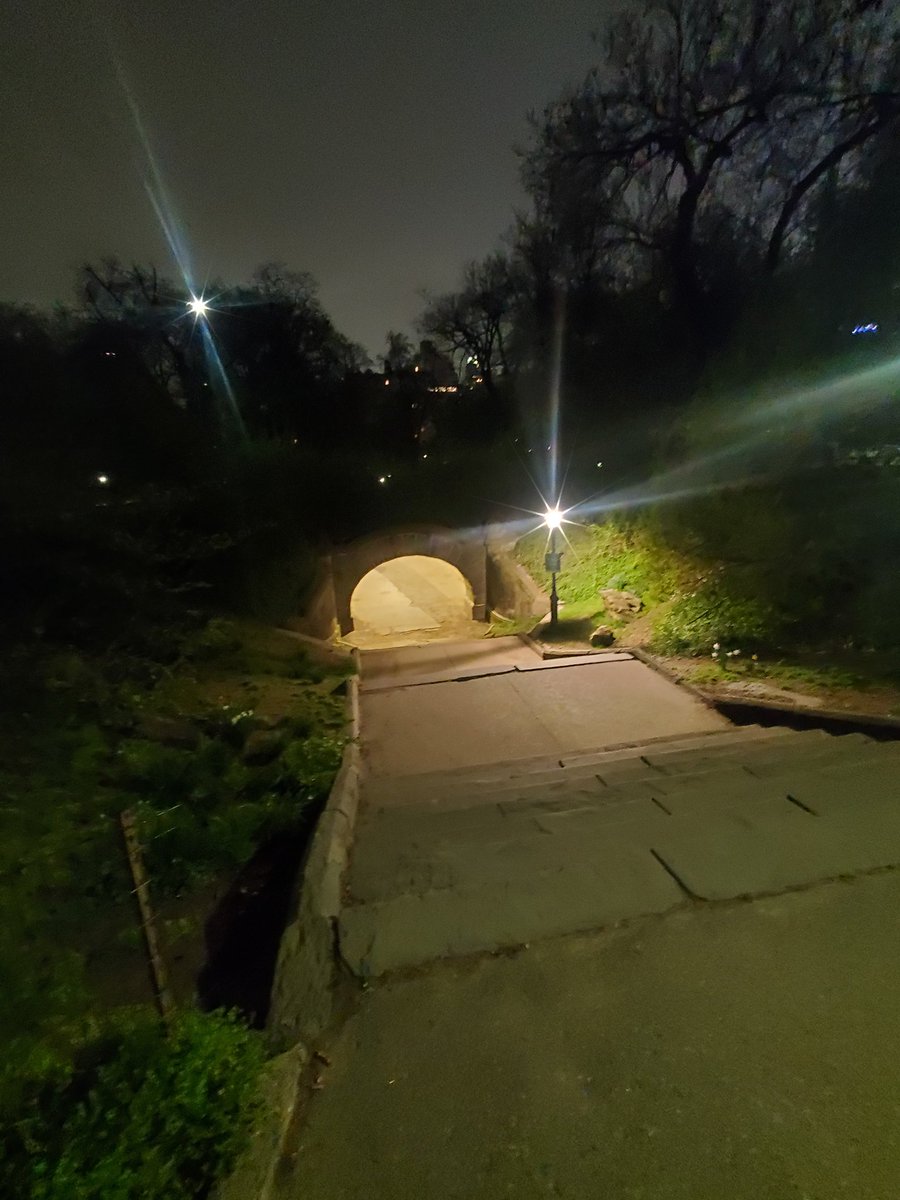 Nells_Way's tweet photo. #TheBraveone came to my mind while walking past this #Centralpark https://t.co/BPKeqc2Y03