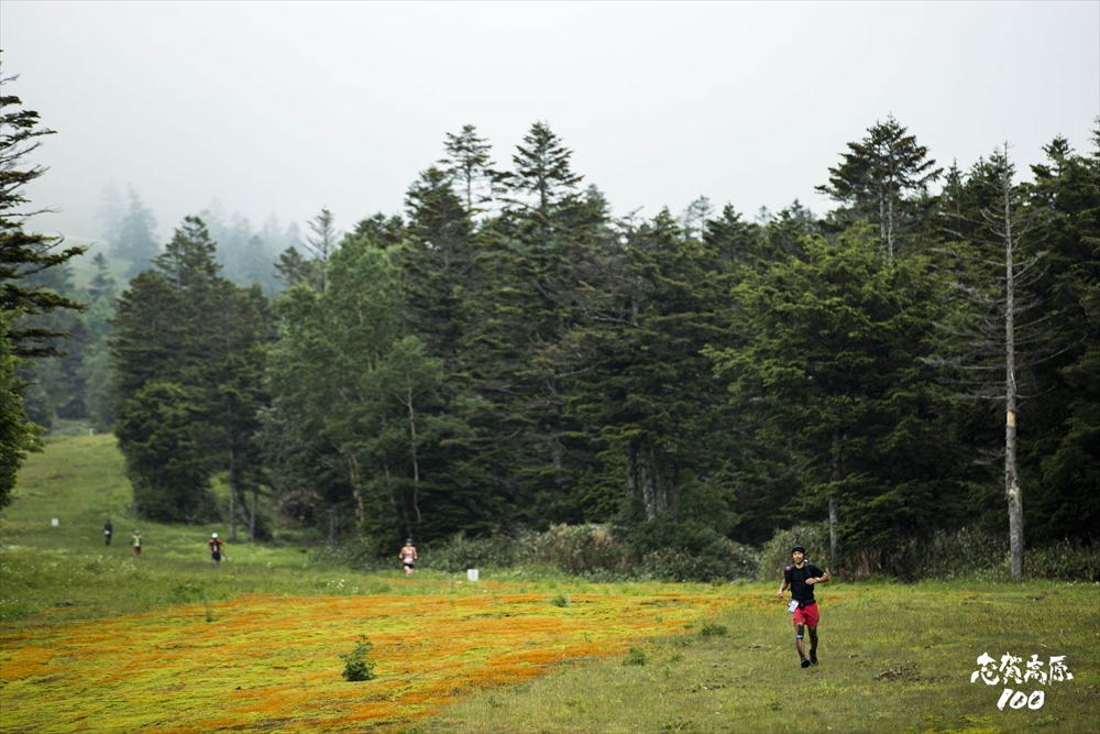 #志賀高原100 
挑戦すべき極上の100kmトレイルがここに⛰
ストロングランナーの皆様！ご参加お待ちしております💪
お泊りは公式プランより♨🛏👇
nature-scene.net/shiga100/

#トレイルレース
#志賀高原 #長野県 #shigakogen #nagano #japan #nationalpark #nature ＃国立公園 #登山 #トレッキング