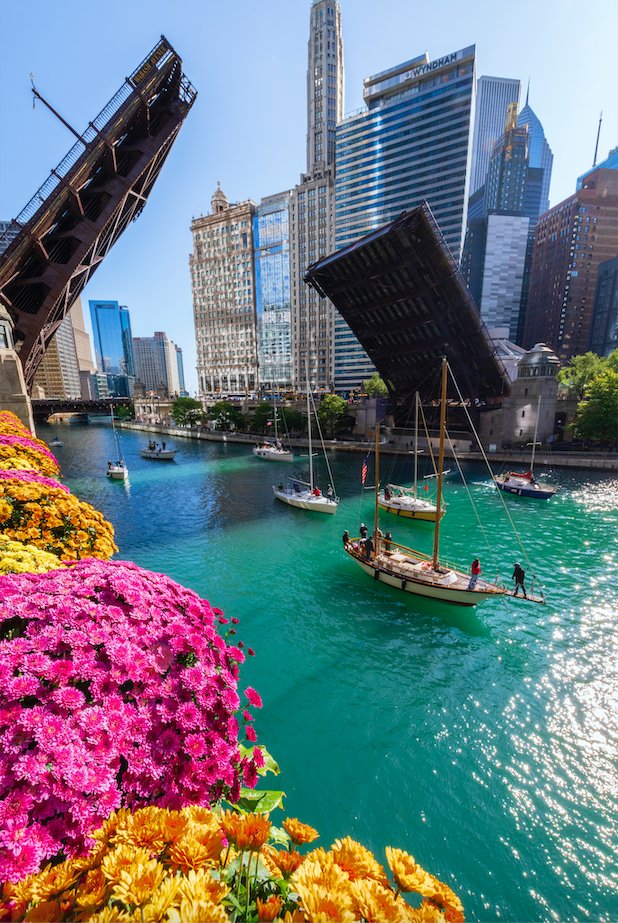 Bridge lifts have begun! ⛵ On Wednesdays (9am) and Saturdays (8am) through 6/15, more than 25 bridges will rise so sailboats can make their way up to Lake Michigan until fall. Did you know? Chicago has the most movable bridges of any city in the world! 📸: @barrybutler9