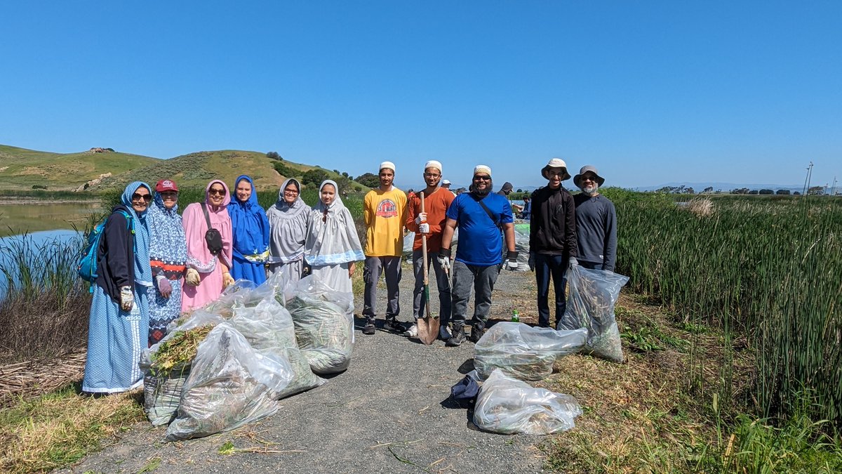 Bohras_USA's tweet photo. The #SFBayEstuary is the largest in #California and named as an estuary of national significance. On #EarthDay2024, the local #DawoodiBohra community was honored to join @EBRPD and over 100 other volunteers at Coyote Hills in #Fremont to clean up, pull invasive plants, and contribute to protecting this unique, diverse ecosystem!
