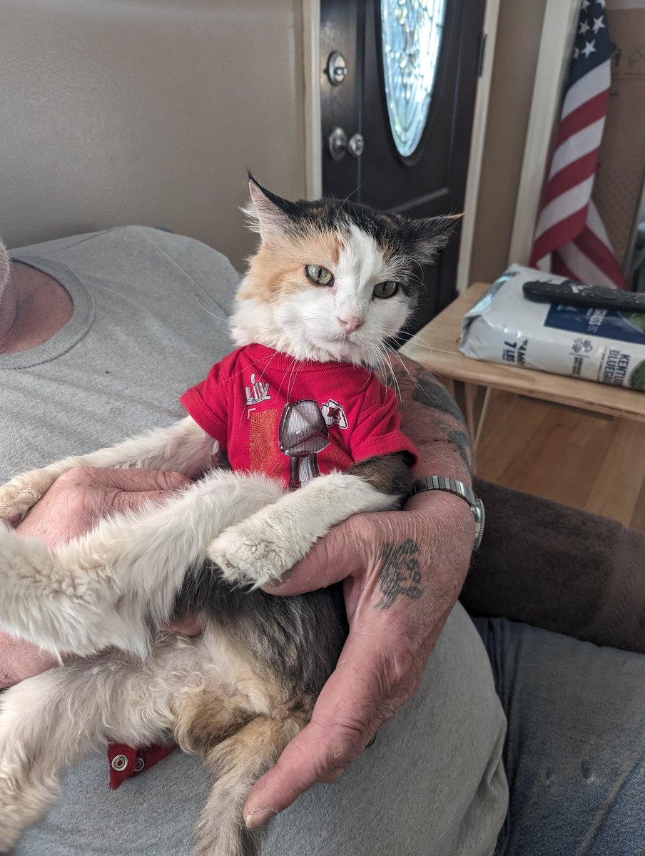 Here On Mars tweet media