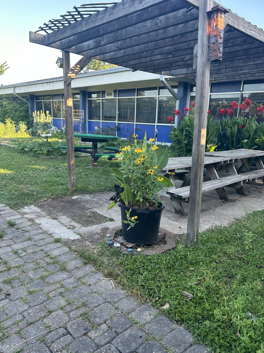 Showcasing our School Garden in honor Earth Day 🌎 🌱🍀#earthday #april22