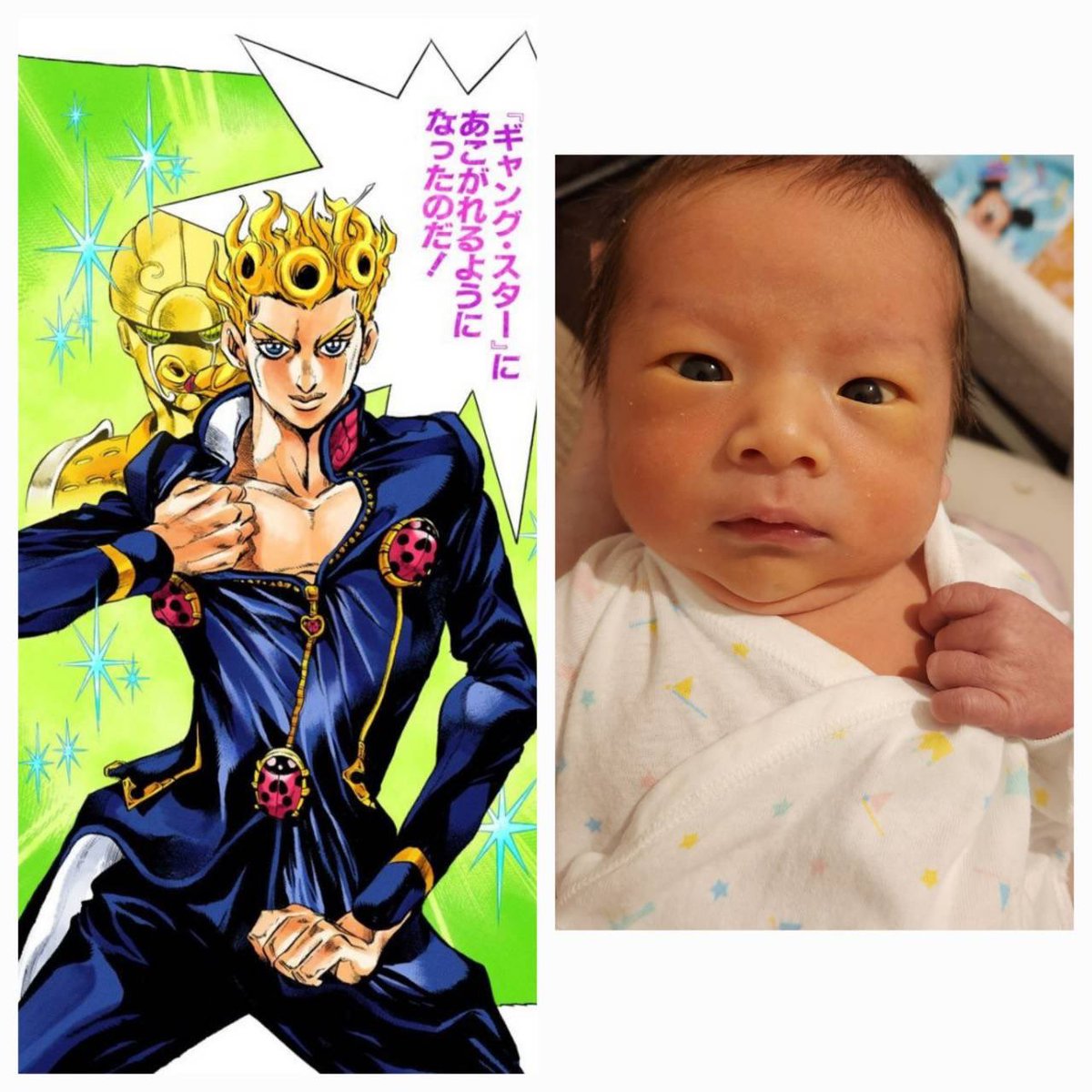 うちの子(生後6日)、ギャング・スターにあこがれていた #jojo_anime