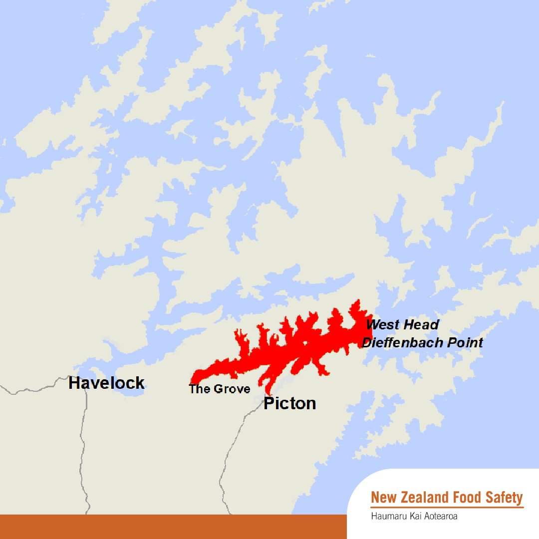 New Zealand Food Safety is advising the public not to collect or consume shellfish gathered from Queen Charlotte Sound – Anakiwa up to a line from Dieffenbach Point across to West Head – due to high paralytic shellfish toxin risk. Full details: bit.ly/3xNDjZw