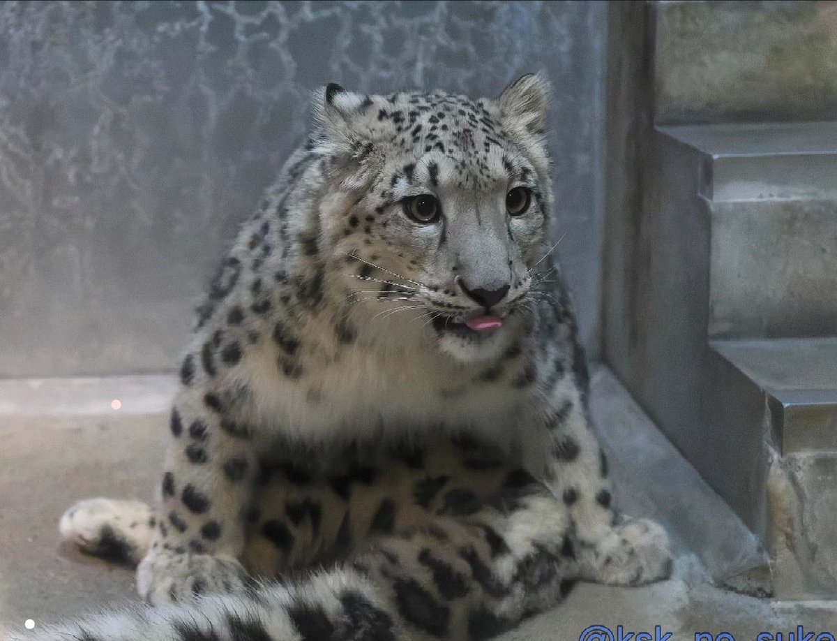 him: are you fucking stupid 

me: