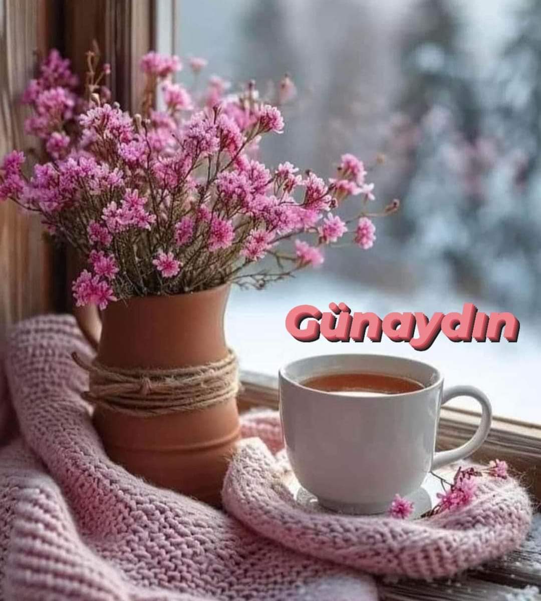 #Günaydın🌸🌿 #Hayırlısabahlar🌸🌿 #Çarşamba🌸🌿