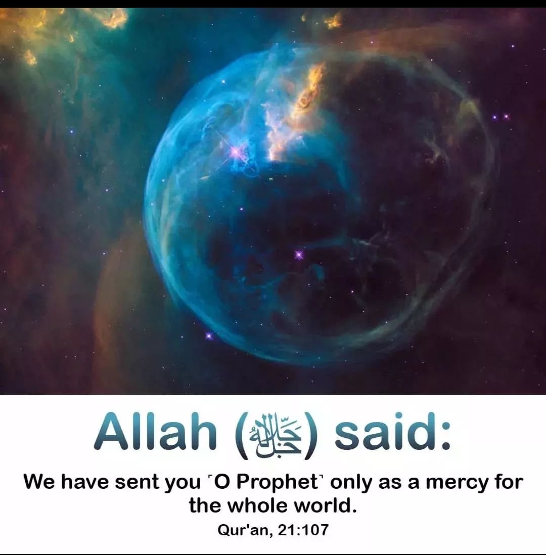 Al_ansar0's tweet photo. HADITH OF THE DAY 🌹🌹🌹 https://t.co/hRNf13P9RB