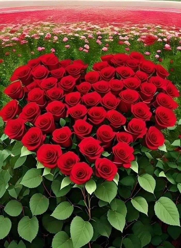🌹السلام وعلیکم و رحمتہ اللہ وبراکاتہ 🌹
            🍁🍁............. 🍁🍁
          🍀Good morning 🤗
             ❤️❤️............❤️❤️
  🥀🥀My sweet x family 🥀🥀