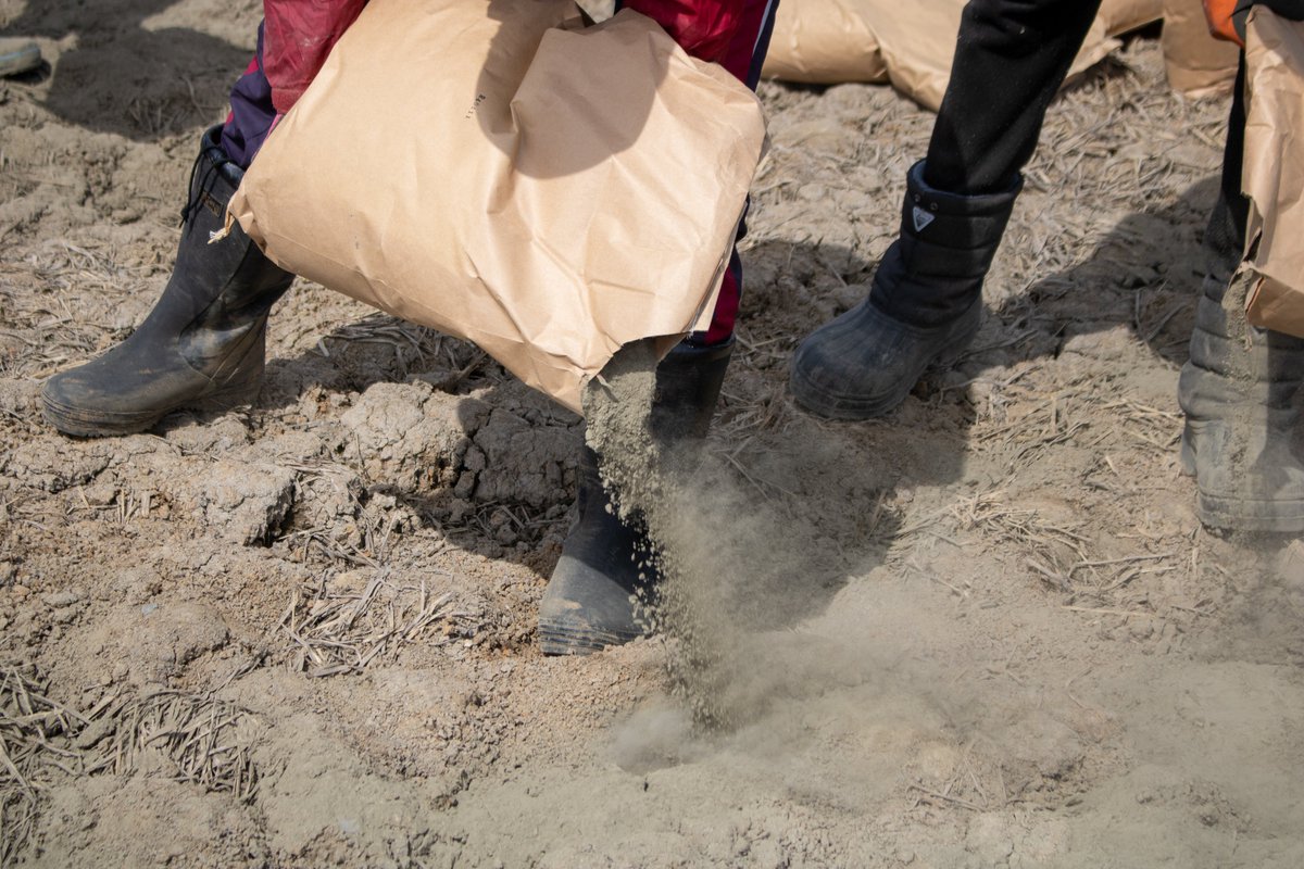 【玄武岩施用試験の実証実験】🌾
北海道大学の研究チームが雨竜町の圃場で「水田への玄武岩粉砕物施用による水稲への影響」試験をスタート

玄武岩の化学的風化によってCO２の吸収が促進されるそうです。

#北海道雨竜町 #北海道大学 #玄武岩施用試験 #ゼロカーボンシティ