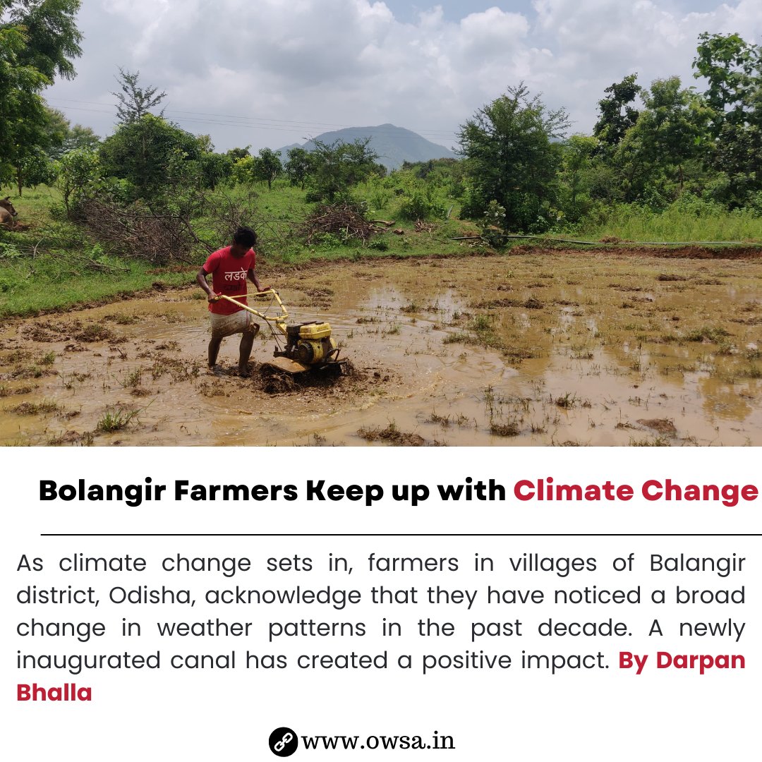 Insights from Rural India: Learn how despite challenges, the Bolangir Farmers Keep up with Climate Change from the insightful excerpt from research conducted by our intern Darpan Bhalla as part of the Abhijit Sen Rural Internship 2023. Read here: owsa.in/bolangir-farme…