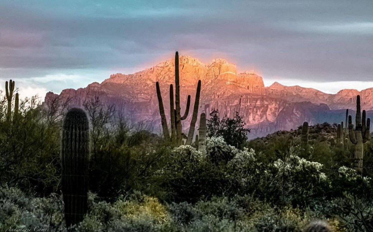 “Light is, perhaps, the most wonderful of all visible things.” ~Leigh Hunt #Arizona #mountain #light