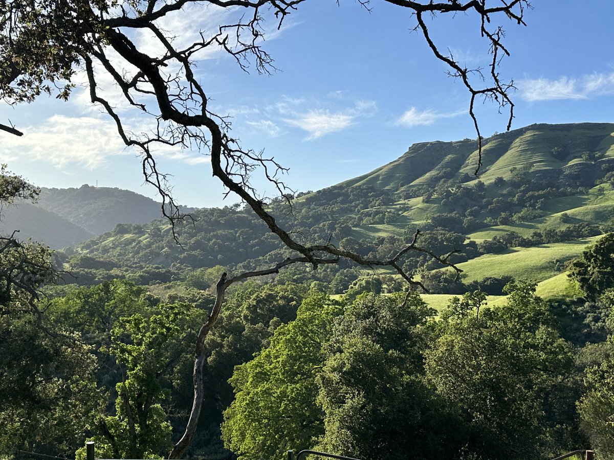 lizditz's tweet photo. I'm doing the #TevisCup--100 miles on horseback in 24 hours-- only virtually, on foot, over 100 days.  

I hit mile 14 today! Good progress. 

A consolation for being on foot is that I'm a lot closer to the wildflowers 

Sounds like fun? Join! https://t.co/rb9QkBMxpm https://t.co/KIhq7R82Wh