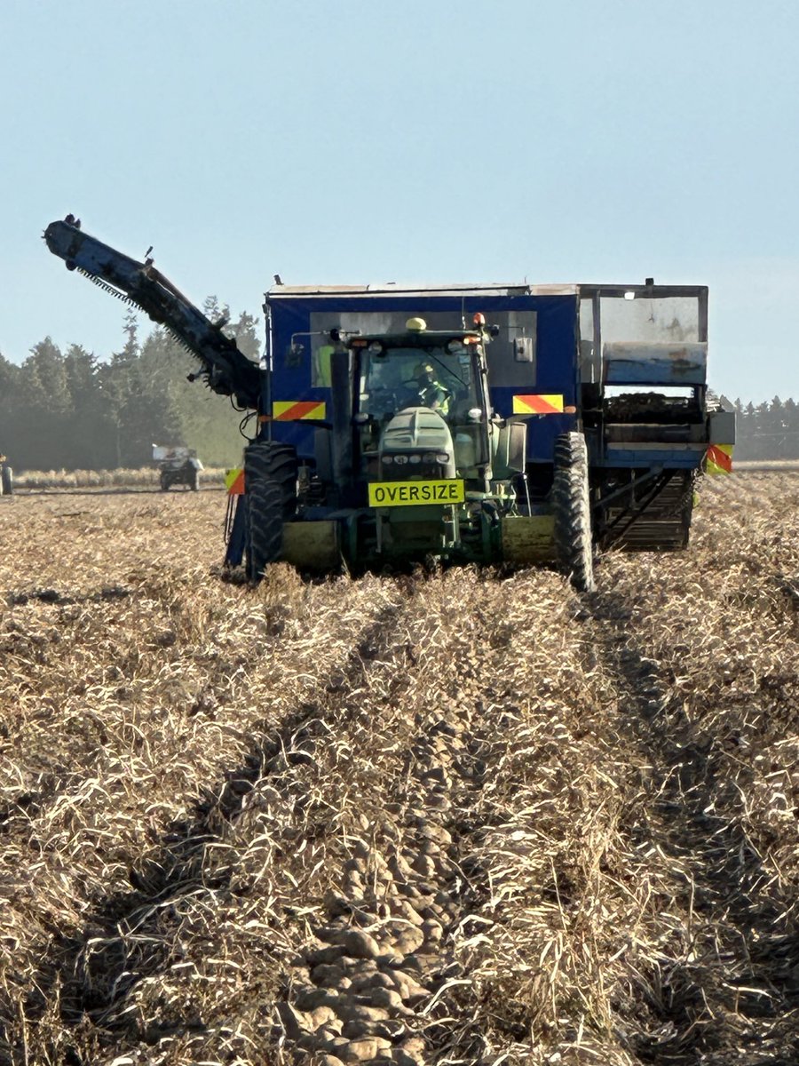 Michelle Pye tweet media