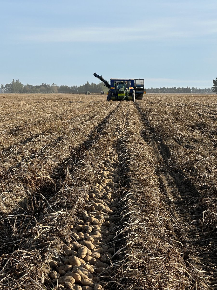 Michelle Pye tweet media